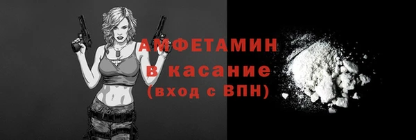 амф Осташков