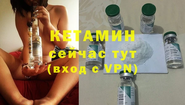 прущие грибы Переславль-Залесский