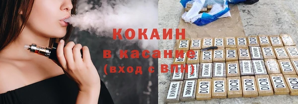прущие грибы Переславль-Залесский