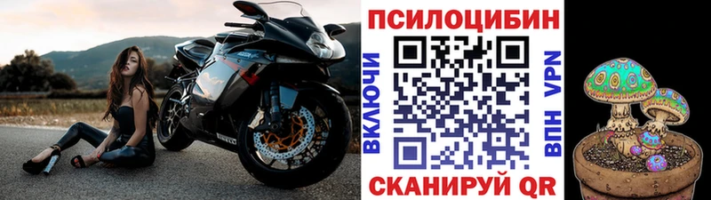 Псилоцибиновые грибы Psilocybine cubensis  где найти   Кондопога 