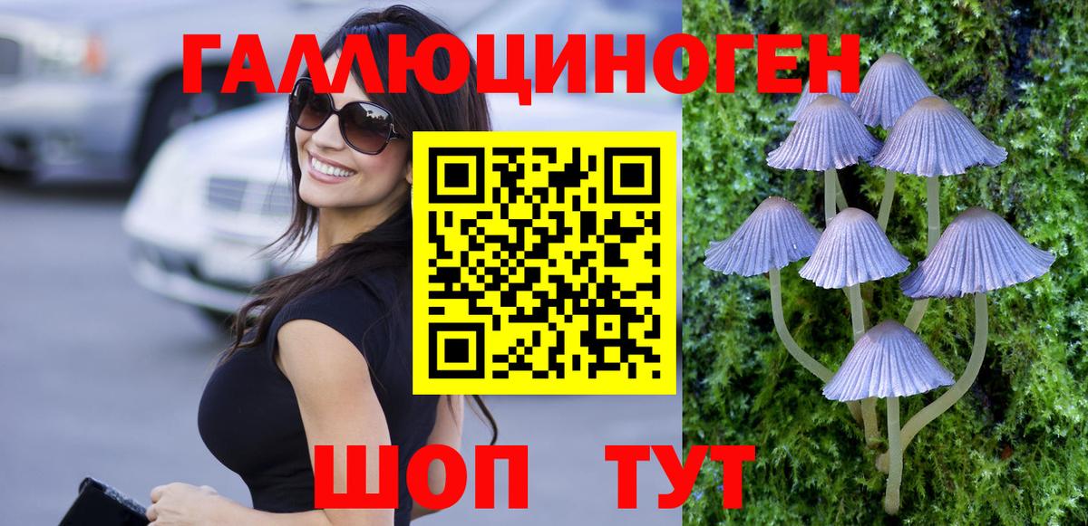 Галлюциногенные грибы GOLDEN TEACHER Кондопога